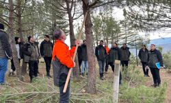 Vezirköprü'de işletme şefi adaylarına silvikültür eğitimi
