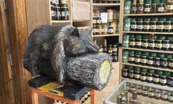 Viral olan ayı, satışları katladı: Balcı dükkanının başköşesine 'bayılan ayı' dekoru yerleşti