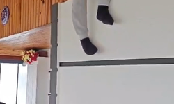 Yalova'da aranması bulunan 24 hükümlü yakalandı