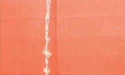 Yalova'da denizi kirleten gemiye para cezası