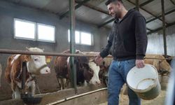 Yem desteği Bayburtlu çiftçinin yüzünü güldürdü: 'Bu destek bize iyi geldi'