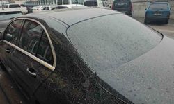 Zonguldak'ta gökten çamur yağdı