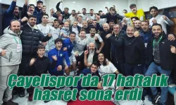 Çayelispor 17 haftalık galibiyet hasretine son verdi