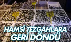 Hamsi bu defa şaşırttı: Tezgahlar yeniden şenlendi