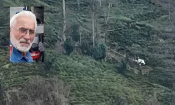 Rize'de hafif ticari araç uçuruma yuvarlandı, eski muhtar hayatını kaybetti