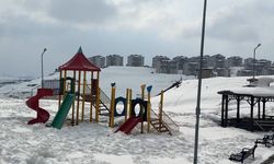 40 kilometre arayla iki mevsim: Yüksekova'da kar, Esendere'de bahar mesaisi