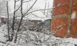 Adana'da Mart ayında kar sürprizi