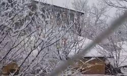 Adana'da yaylalarda kar etkili oldu