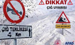 AFAD'dan Van için çığ uyarısı