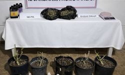 Aksu'da 243 gram uyuşturucu madde ele geçirildi