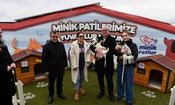 Altıeylül' de can dostlar sıcak yuva bekliyor