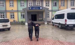 Antakya'da canlı hayvan çalan şüpheli yakalandı