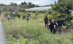 Antalya'da takla atan hafif ticari aracın sürücüsü yaralandı