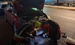 Aracın motoruna giren tilki ekiplerce kurtarıldı