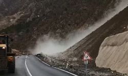 Artvin-Şavşat karayolunda heyelan