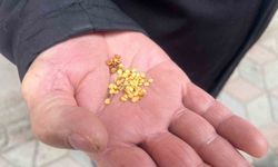 Ata tohumlarla tarımın hafızasını yaşatıyor