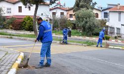 Aydın Büyükşehir Belediyesi'nin kent genelindeki çalışmaları sürüyor
