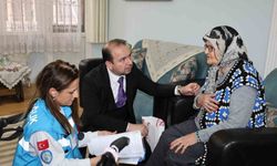 Aydın'da yaşlı çınarlar unutulmadı