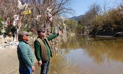 Aydın'ın içme suyunu karşılayacak Sarıçay'da kirlilik alarmı