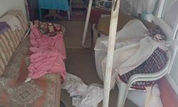 Ayıların Sis Dağı'ndaki yayla evlerine girme mesaisi yeniden başladı