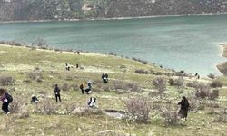 Bahar çiçeği nergisler doğaseverlerin ilgi odağı oldu