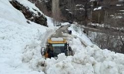 Bahçesaray'da yola çığ düştü