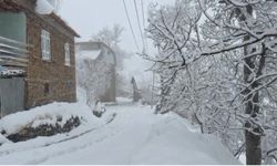 Bahçesaraylılar açtıkları kar tünelleriyle günlük hayatlarını sürdürüyor