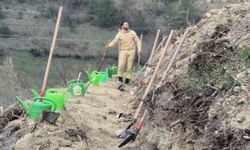 Bartın'da geçen yıl yanan ormana 400 fidan dikildi