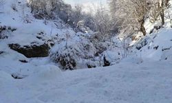 Batman'da mart ayında kar yağışı etkili oldu