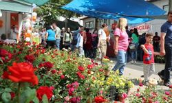 Bayındır Çiçek Festivali için geri sayım başladı