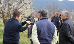 Bilecik'te üreticilere gübreleme ve budama kursu