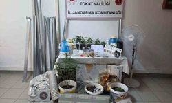 Bilgi notuyla apartman dairesinde uyuşturucu serası kurdular, jandarmadan kaçamadılar