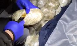 Bitlis'te 4 kilo 800 gram skunk ele geçirildi