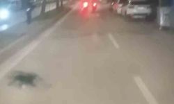 Bursa'da 'dur' ihtarına uymayan motosikletli yakalandı: 200 bin TL ceza