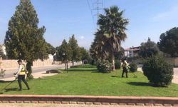 Büyükşehir sahaya indi, Nazilli bayrama hazırlandı