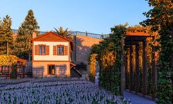 Büyükşehir'den peyzajda yerli üretim hamlesi