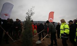 Çanakkale'de Dünya Ormancılık Günü'nde 5 bin fidan toprakla buluştu