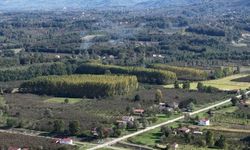 Çarşamba Ovası meyvede zirvede