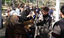 Çekmeköy'de kadınlar 8 Mart'ı hayvanat bahçesinde kutladı: Park of İstanbul kadınlara ücretsiz açıldı