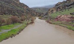 Çermik'te yoğun yağışlarla birlikte akarsu debileri yükseldi