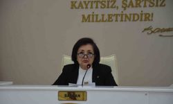 CHP'li Belediye Meclis üyesi Tan, komisyon görevlerinden istifa etti