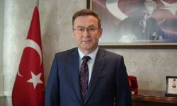 Cumhurbaşkanı Erdoğan'dan ödül alan Kaymakam Demirelli: 'İdareci mazeret üretmez, imkansızlıklar içinde başarır'