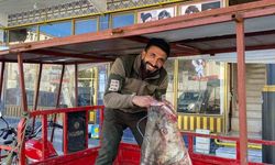 Çüngüş'te 100 kiloluk turna balığı yakalandı