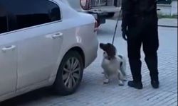 Denizli'de narkotik operasyonunda 6 kilo esrar ele geçirildi