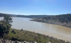 Derbent Barajı'nda su seviyesi zirvede