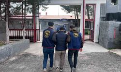 Diyarbakır'da haklarında kesinleşmiş hapis cezası bulunan 159 kişi yakalandı