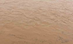 Diyarbakır'da sağanak nedeni ile onlarca koyun telef oldu