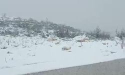 Diyarbakır'ın iki ilçesinde kar yağışı