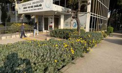 Dokuz Eylül Üniversitesi Diş Sağlığı Merkezi yeşil kartlı hasta kabulüne başladı