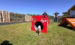 Duacı Mahallesi'nde Pati Park hizmet açıldı